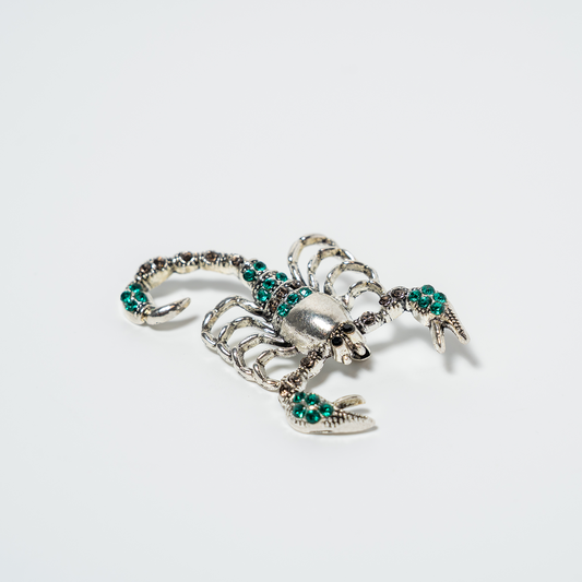 Escorpión Poder que Hipnotiza Prendedor